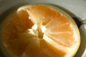 dsc_6846grapefruit